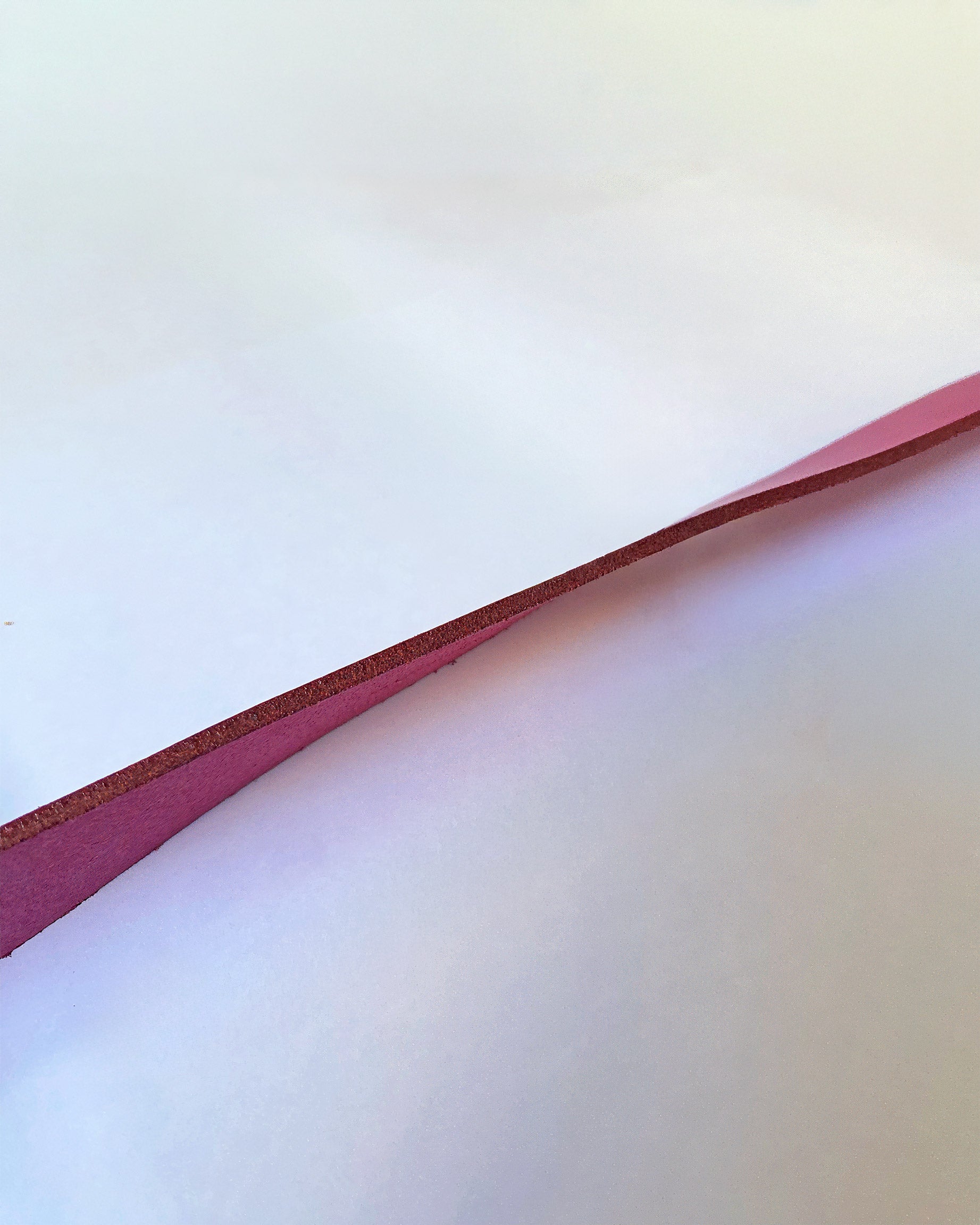 Cinturón Rosado — Hebilla Estilizada
